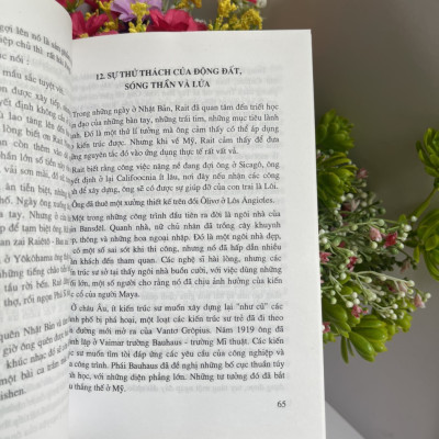 ĐỔI MỚI TRONG NGHỆ THUẬT KIẾN TRÚC CUỘC ĐỜI CỦA FRANK LLOYD WRIGHT - Aylesa Forsee - Đặng Thái Hoàng dịch- NXB NXB Xây Dựng