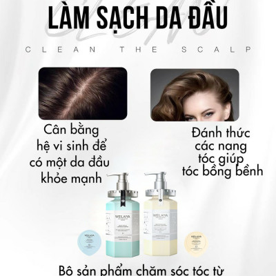 Dầu gội xả phục hồi đa tầng nấm Truffle Weilaiya hương nước hoa -chăm sóc toàn diện, giúp da đầu trở lại trạng thái khỏe khoắn và trẻ trung - tặng kèm ví da bò cao cấp