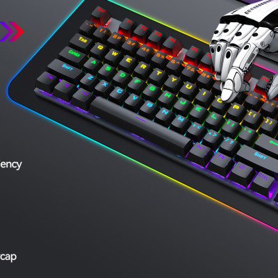 Bàn Phím Cơ T-WOLF T17 USB- Hàng Chính Hãng 