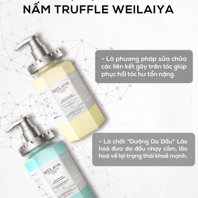 Dầu Gội Phục Hồi Đa Tầng Nấm Truffle Weilaiya - Tặng mini dầu xả gừng 