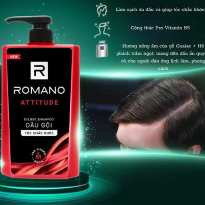 Dầu Gội Cao Cấp Cho Nam Romano Attitude (650g)