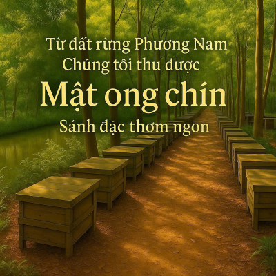 COMBO mua 2 TẶNG 1 cùng loại: Mật ong nguyên chất rừng Phương Nam chai  630g