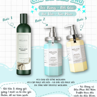 Combo Dầu gội xả phục hồi đa tầng nấm Truffle Weilaiya hương nước hoa và Dầu gội gừng Weilaiya cao cấp 400ml