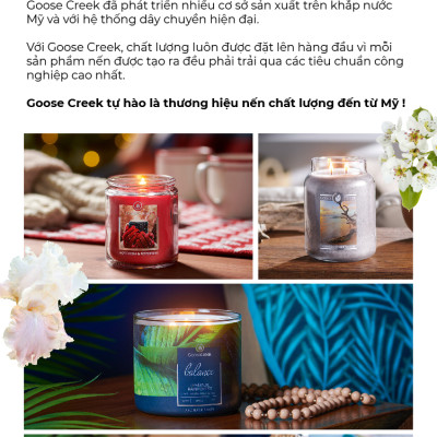 Nến ly 3 bấc sáp đậu nành Goose Creek (411g) - Burlwood & Oak