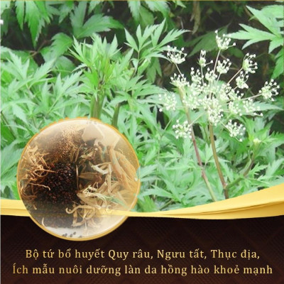 Combo 3 Viên Uống Sắc Ngọc Khang Vi tảo lục hỗ trợ giảm nám, tàn nhang, sạm da và giúp cân bằng nội tiết tố nữ [60 Viên/hộp]