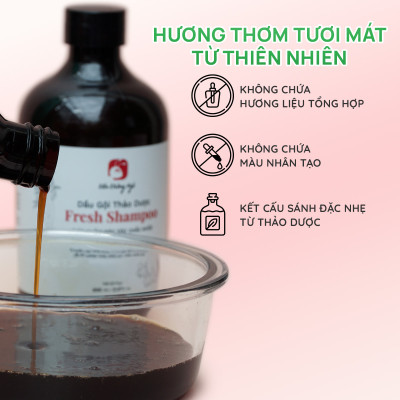 Dầu gội thảo dược Fresh Shampoo giảm rụng tóc, giảm gàu, nuôi dưỡng tóc mềm mượt và chắc khỏe từ gốc 500ml