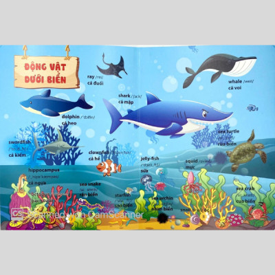 Từ Điển Phát Triển Ngôn Ngữ Bằng Hình Dành Cho Trẻ Mầm Non - Chủ Đề: Động Vật