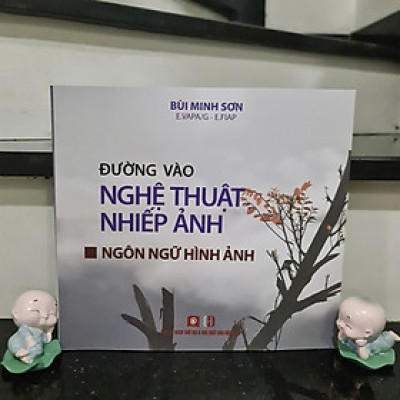 Sách Đường Vào Nghệ Thuật Nhiếp Ảnh - Bùi Minh Sơn