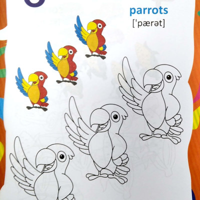 Tiếng Anh Đầu Tiên Của Bé - Chữ Số Hình Dạng (Song Ngữ Anh Việt)