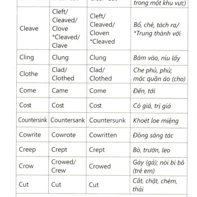 Chinh Phục Từ Vựng Và Ngữ Pháp Tiếng Anh (Dành Cho Người Mới Bắt Đầu - Sbooks) 