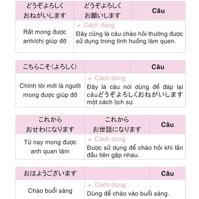 Học Từ Vựng Tiếng Nhật Qua Hội Thoại Giao Tiếp -  Bộ Sách Dành Cho Người Tự Học