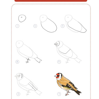 365 Ngày Luyện Vẽ Thế Giới Động Vật - Tập 2