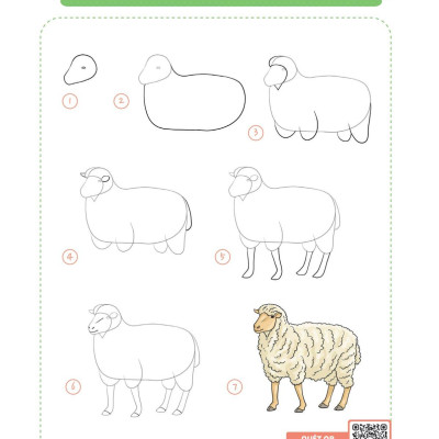 365 Ngày Luyện Vẽ Thế Giới Động Vật - Tập 2