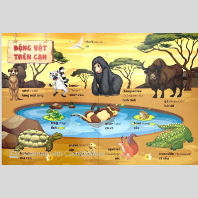 Từ Điển Phát Triển Ngôn Ngữ Bằng Hình Dành Cho Trẻ Mầm Non - Chủ Đề: Động Vật