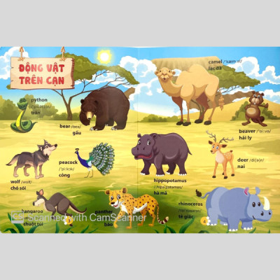 Từ Điển Phát Triển Ngôn Ngữ Bằng Hình Dành Cho Trẻ Mầm Non - Chủ Đề: Động Vật