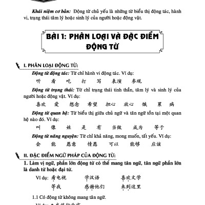 Sách - Combo: Ngữ Pháp Hán Ngữ Thực Dụng + Phân tích đáp án các bài luyện dịch Tiếng Trung + DVD tài liệu