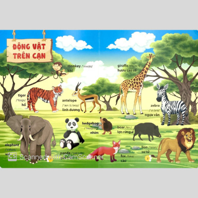 Từ Điển Phát Triển Ngôn Ngữ Bằng Hình Dành Cho Trẻ Mầm Non - Chủ Đề: Động Vật