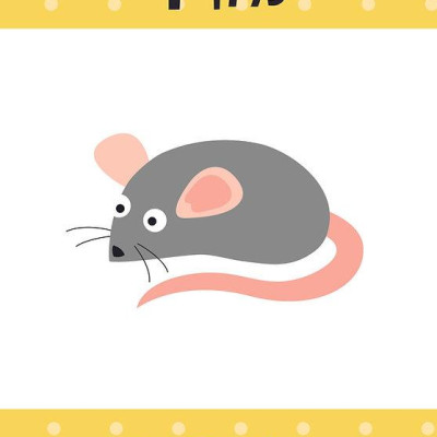 Flash Cards - Early Learning Green (25 Cards)