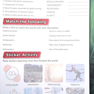 Wonders Of Learning - Sticker Book - Saving Planet Earth
