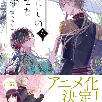 Watashi No Shiawase Na Kekkon - My Happy Marriage 6 (Light Novel) (Japanese Edition)