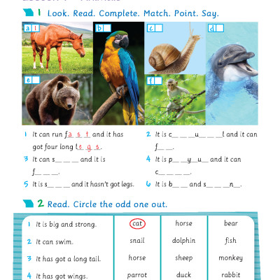 Tiếng Anh 5 Extra and Friends - Activity Book (Sách bài tập)