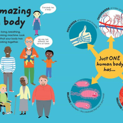 Factivity Vol. 2 - Discover Your Amazing Human Body