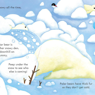 Peep Inside Snowy Places