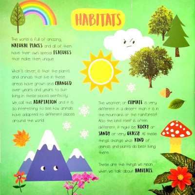 Little Wonders - Habitats - Multi-Flap