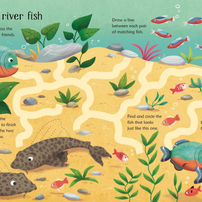 Wipe-Clean Aquarium Activities