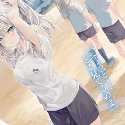 Alya Sometimes Hides Her Feelings In Russian 2 (Light Novel) (Japanese Edition)