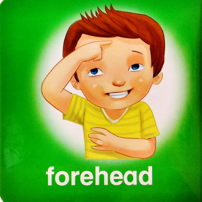 My Brainy Block Books: My Body