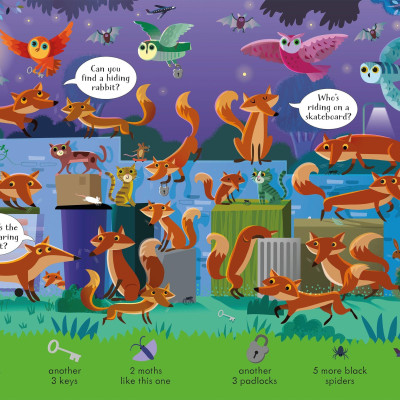 Look And Find Puzzles Night Time