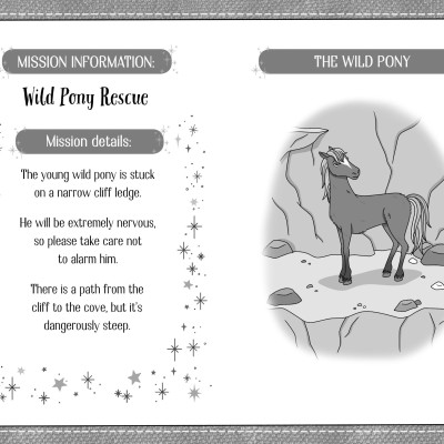Dream Pony : An Animal Rescue Dolls Story
