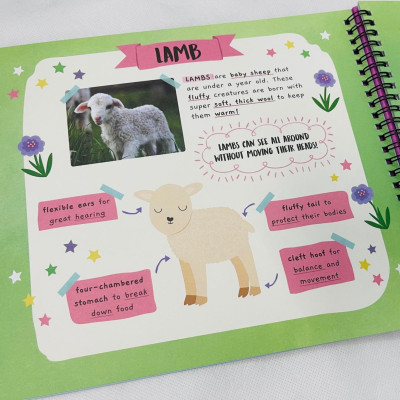 Little Wonders Sticker By Number - Baby Animals