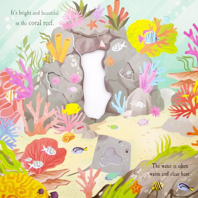 Nature Die-cut Book - Let