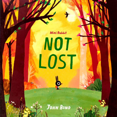 Mini Rabbit Not Lost (Mini Rabbit)