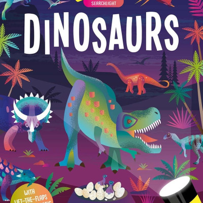 Seek And Find Dinosaurs (Seek & Find - Searchlight Books)