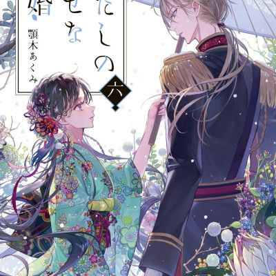 Watashi No Shiawase Na Kekkon - My Happy Marriage 6 (Light Novel) (Japanese Edition)