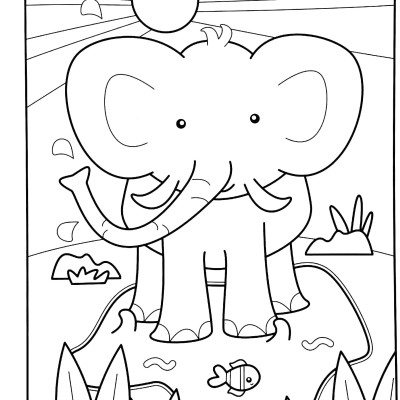 Magic Paint Palette - Jungle & Animals