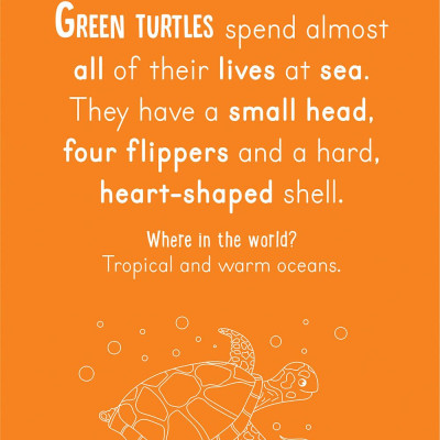 Scratch & Colour Animals