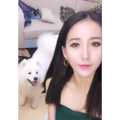 Bờm tai mèo ren - Đồ ngủ Cosplay sexy - Cài tóc tai mèo coplay