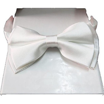 Nơ đeo cổ nam X01