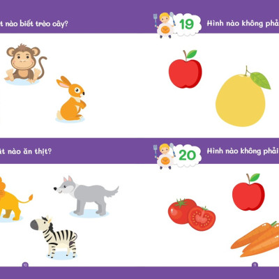 Bộ 4 cuốn 30 Ngày Phát Triển Trí Tuệ Dành Cho Trẻ Từ 2 - 4 Tuổi Rèn Luyện Khả Năng Tư Duy Quan Sát