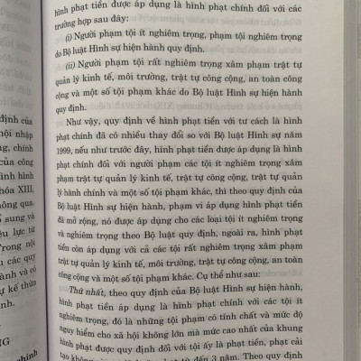 Sách - Hình phạt tiền trong pháp luật hình sự Việt Nam và thực tiễn áp dụng