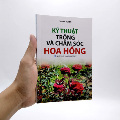 Kỹ Thuật Trồng Và Chăm Sóc Hoa Hồng