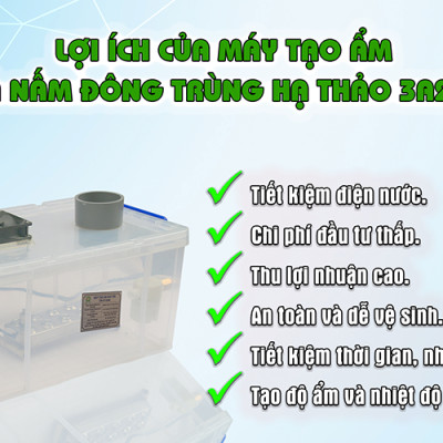 Máy tạo ẩm nhà nấm đông trùng hạ thảo 3A260W - Hàng Chính Hãng