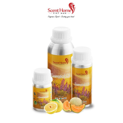 Tinh dầu Scent Homes - mùi hương (BBW Cucumber & Melon)
