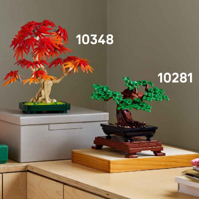 Đồ Chơi Lắp Ráp Cây Bonsai Lá Phong Đỏ LEGO BOTANICALS 10348 (474 chi tiết)