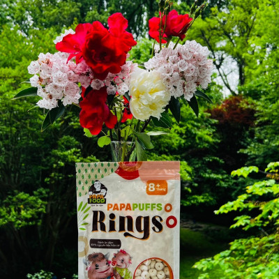 Bánh ăn dặm PAPAFOOD PAPAPUFFS RINGS - 100% Nguyên Liệu Hữu Cơ - Gói 50G