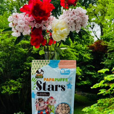 Bánh Ăn Dặm PAPAFOOD PAPAPUFFS STARS - 100% Nguyên Liệu Hữu Cơ - Gói 50g